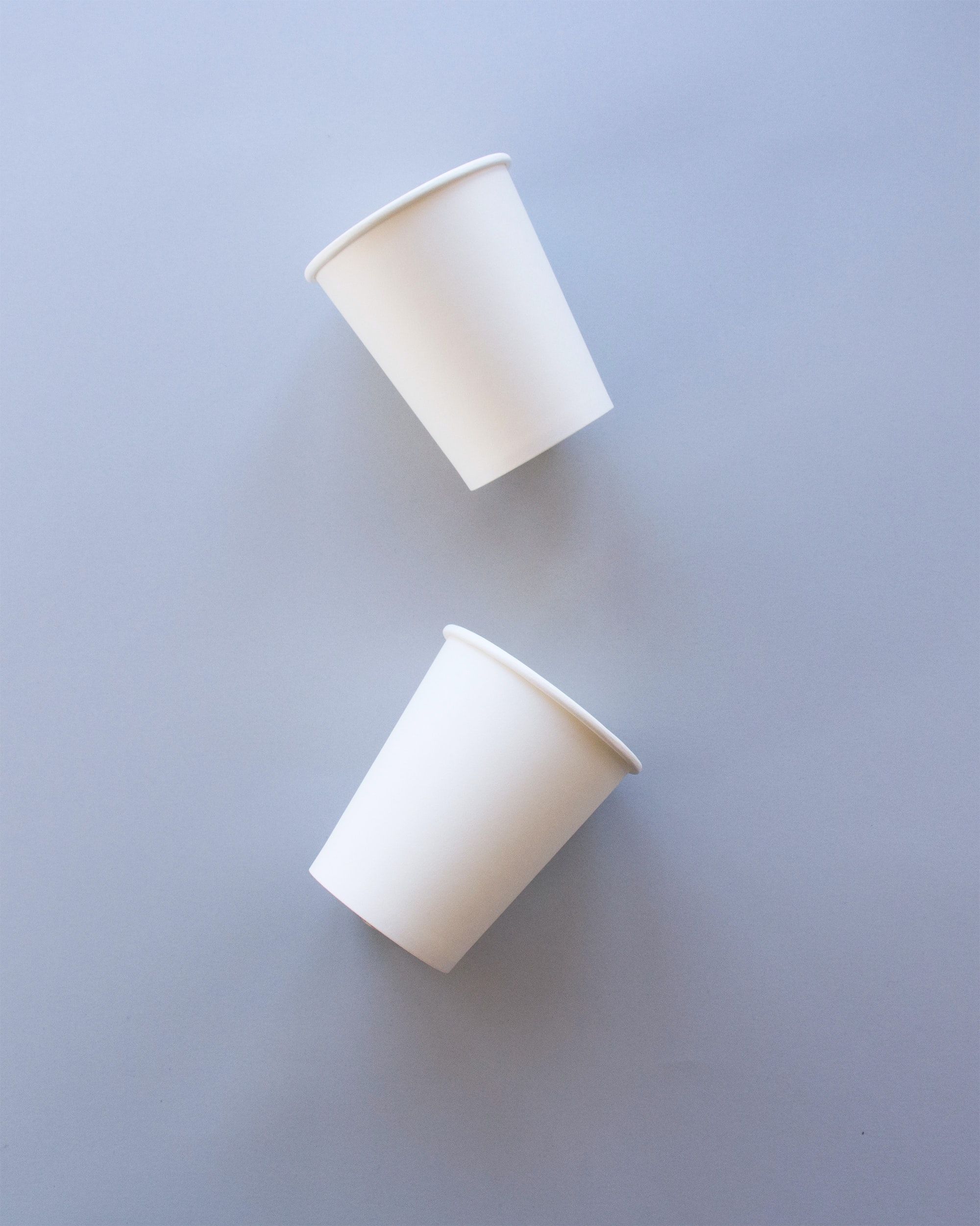Food Grade Cup Stock Paper